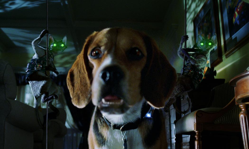 猫为主角的电影 10部关于猫猫的电影