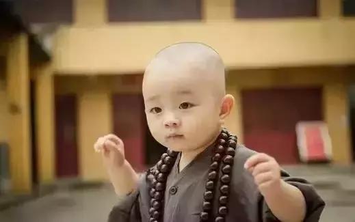 小和尚卖石头,竟从2元卖到200000元!唤醒无数