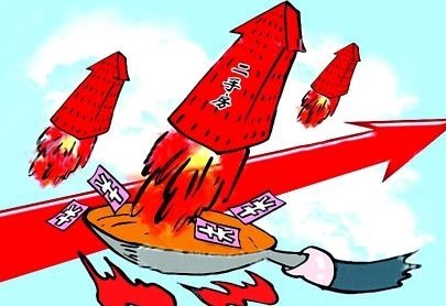 收入证明_拜糖平 代表收入(3)