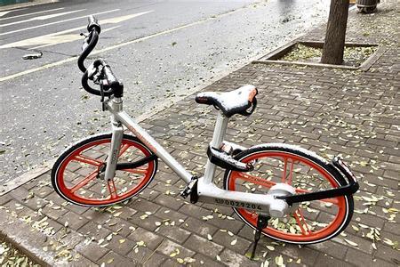 野蛮生长的共享单车,这个冬天有点挤_财经头条