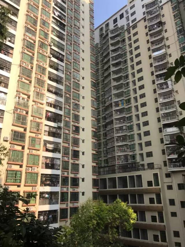 南岭:中国第一村的城市更新样本_财经头条