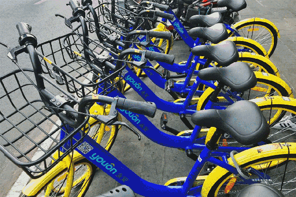 令人啼笑皆非的共享单车_财经头条