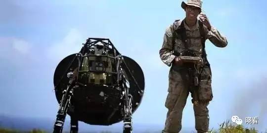 旧经济忙着找替罪羊,新经济已在思考30年后的