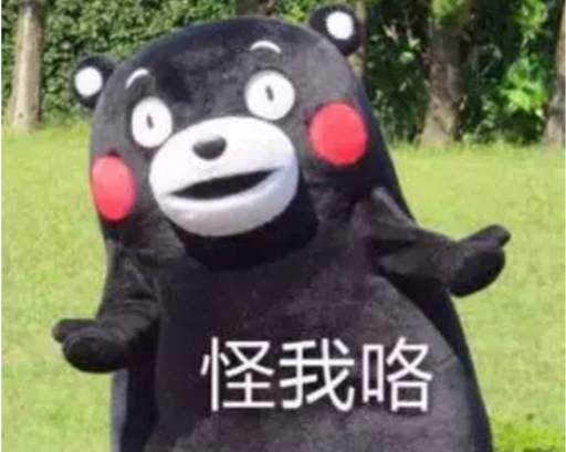 指数、概念都在涨,为何你买的基金只赚指数不