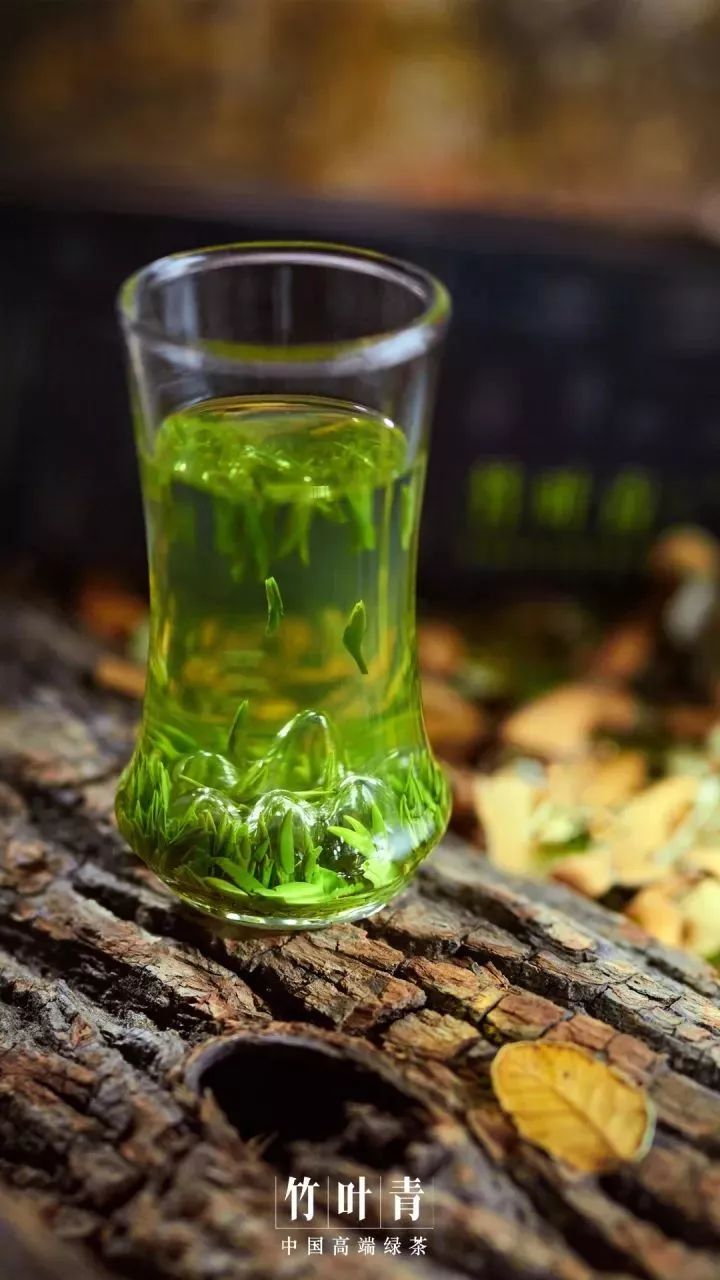竹叶青|金秋十月,这杯热茶不能少