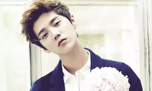 鹿晗背后财富版图:名人榜第二,1年收入超2亿!_