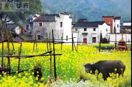 天津限价商品房政策调整 转让需体系内循环