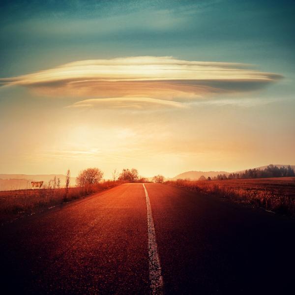 习近平出席亚太经合组织工商领导人峰会并主旨