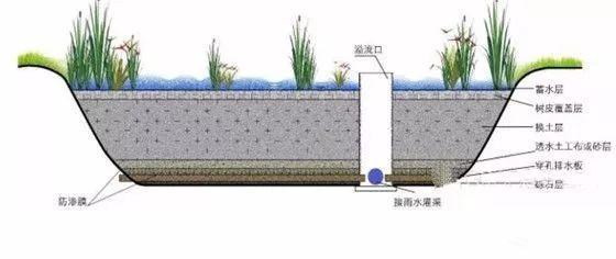 复杂型生物滞留设施结构示意▼04,渗透塘渗透塘是一种用于雨水下渗