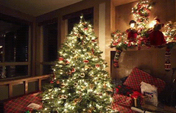 往年过圣诞,总是看大同小异的圣诞树