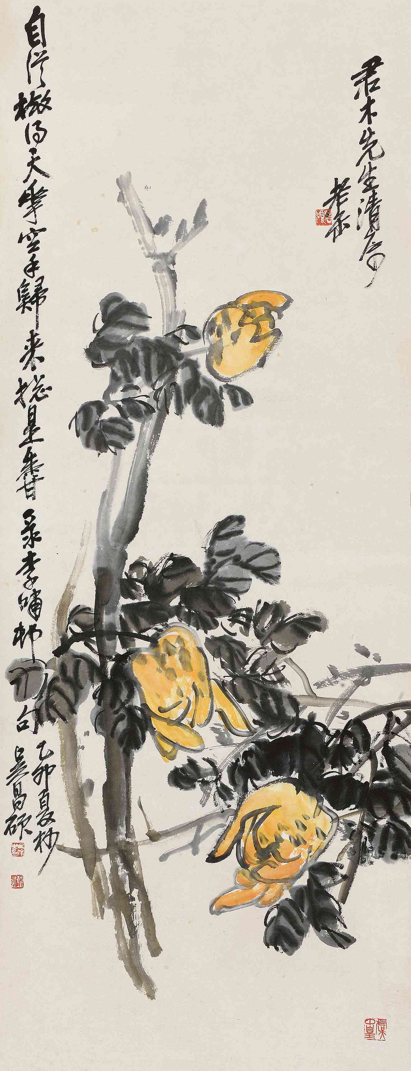 多福