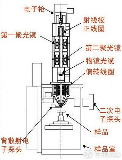 科普帖:电子显微镜图片是彩色的吗?