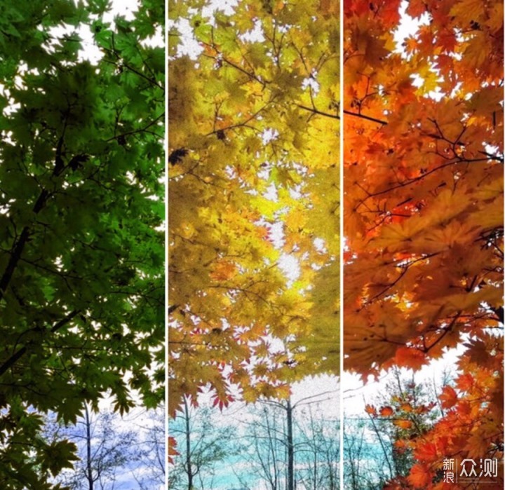看一张照片的四季变化|手机后期"一键变色"