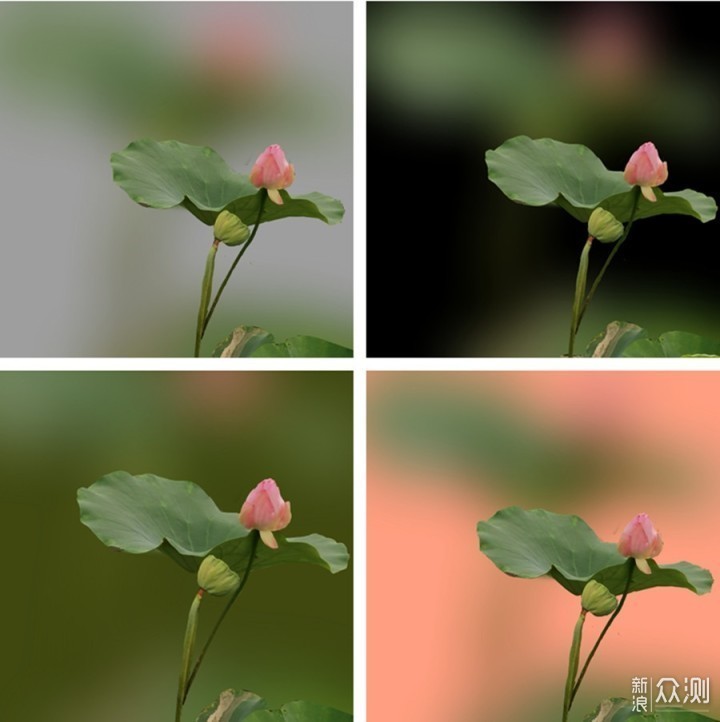 拯救荷花照背景乱教你手机后期虚化背景