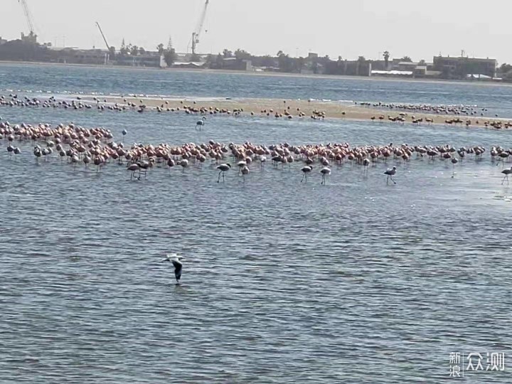 短评快测，49入国军，三星NOTE9过时了么？_新浪众测