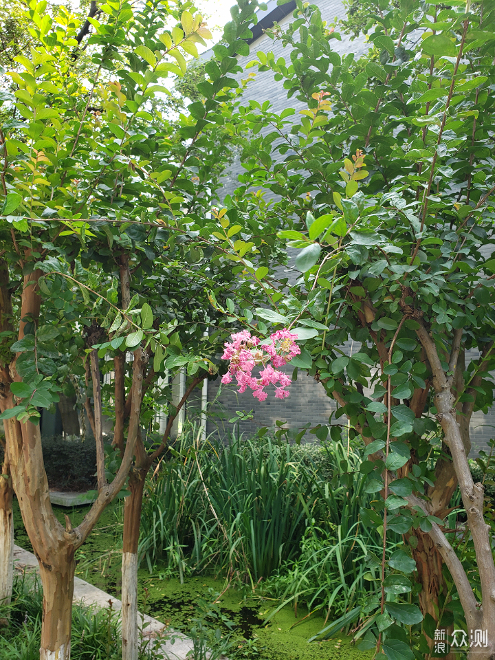 短评快测，49入国军，三星NOTE9过时了么？_新浪众测