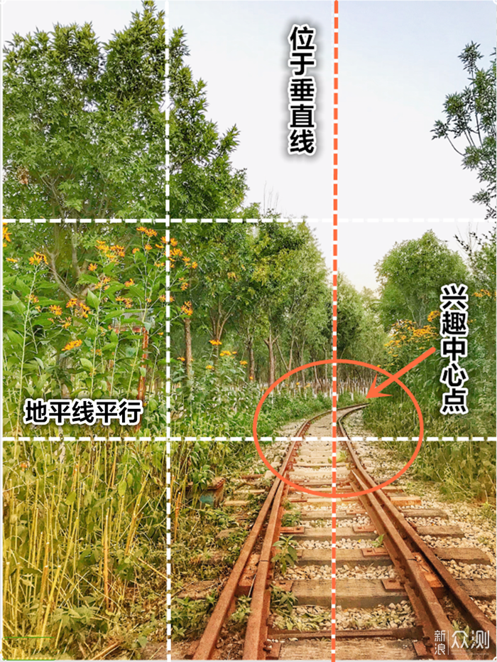 左侧的植物高且多,将铁路放在画面偏右侧,虽然是不对称构图,但画面
