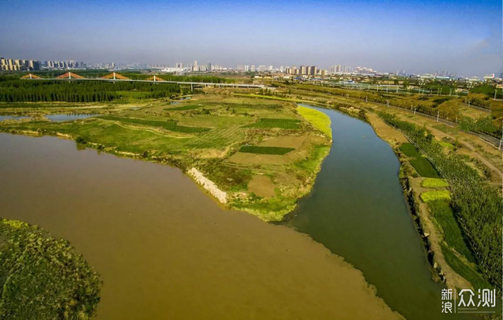 我家住西安北郊地区,正好处在渭河平原地区,大家都知道"泾渭分明"这个