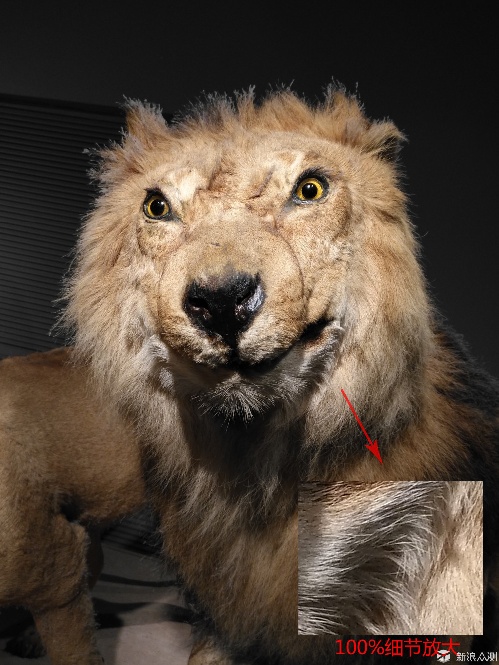 锋芒毕露 年轻不畏!华为麦芒5细节之处见真章