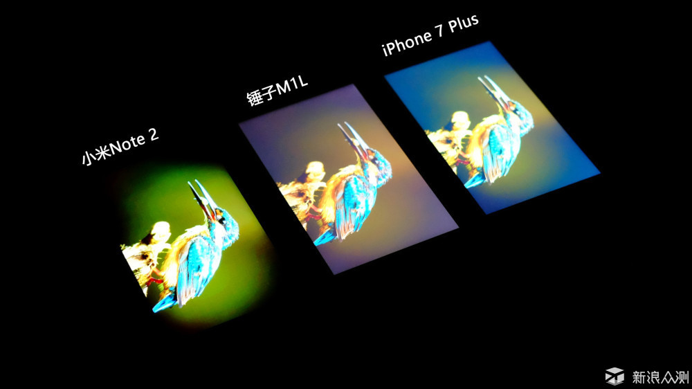 锤子科技的一小步 向前一步,向后一步-锤子Sm
