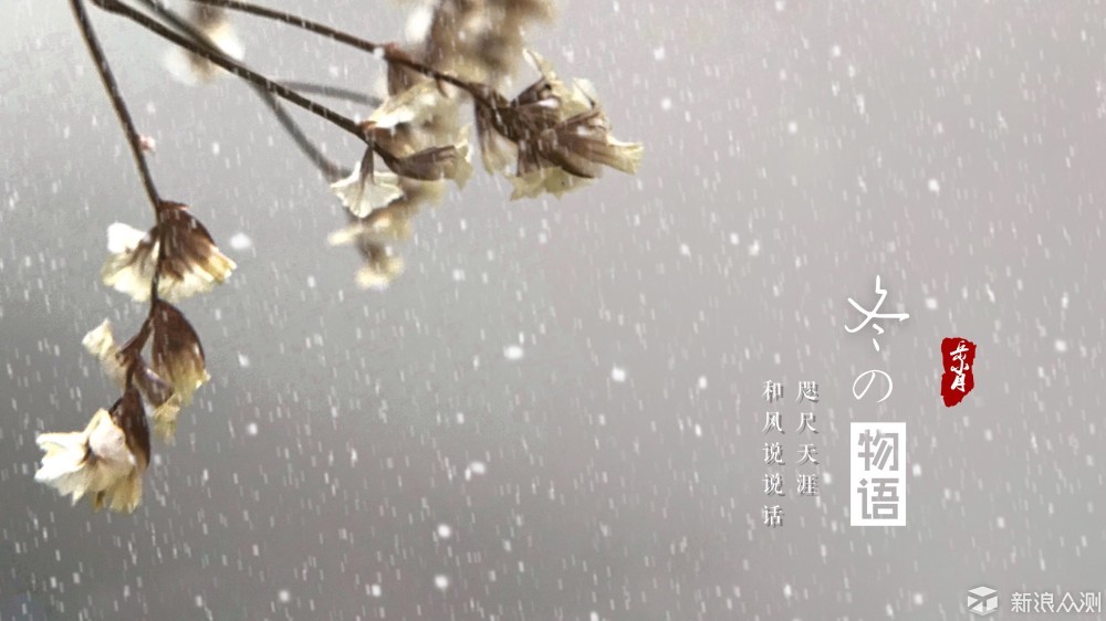 一枚小印章 让照片立马复古风|手机加水印