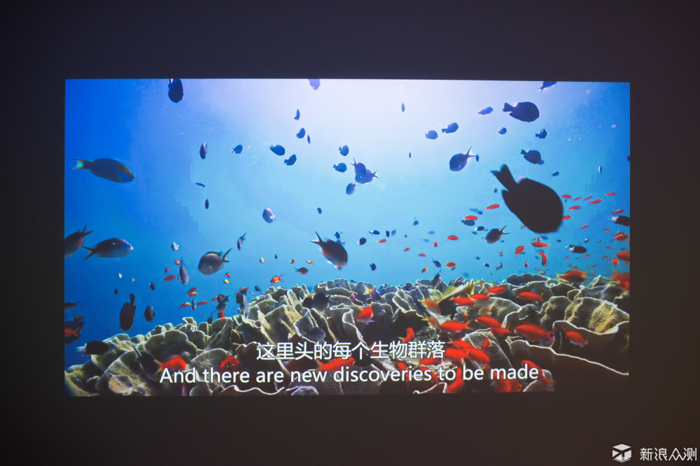 4K电视如火如荼，还有必要选1080P投影么？_新浪众测