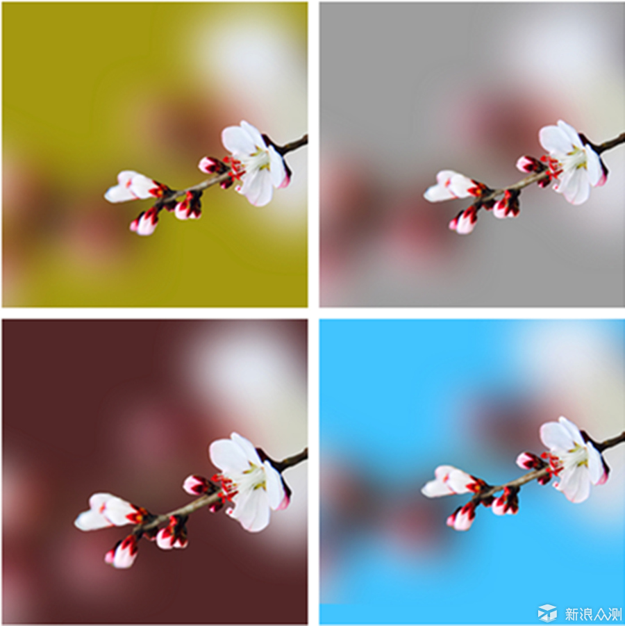拯救照片杂乱背景手机后期虚化背景技巧