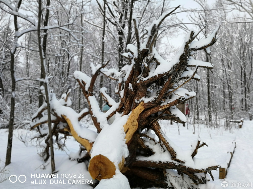 零下20度的旅程 感受东北的雪景