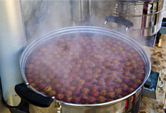 ʵ�ģ�����ũ�Ҳ˻����(ͼ)