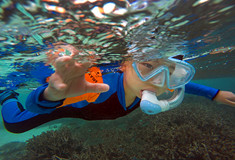 ̽����������ĺ�������(ͼ)