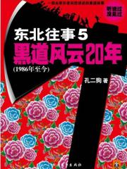 东北往事5:黑道风云20年-孔二狗-小说 | 微博-随
