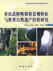 重庆武隆喀斯特景观特征与世界自然遗产价值研