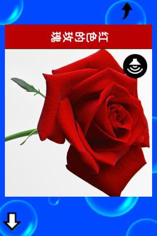 宝宝趣味学颜色