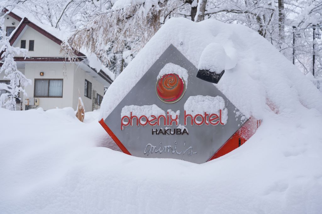雪国之旅