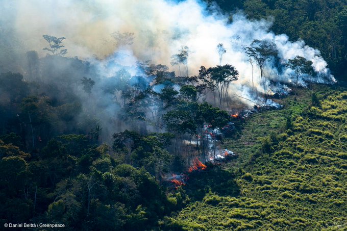 亚马逊雨林火灾频现 巴西总统称是非政府组织放火
