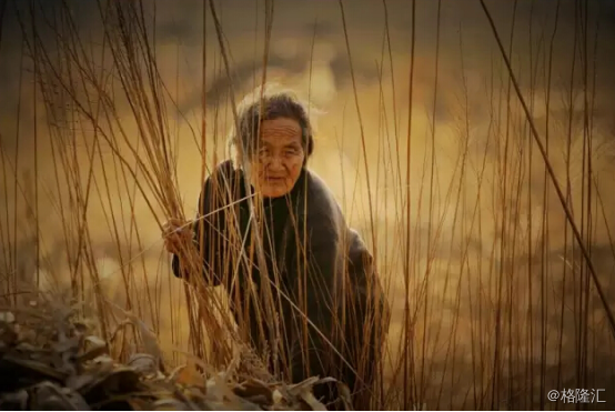 【经典重温】从董时进到杜润生:土地,中国的阿