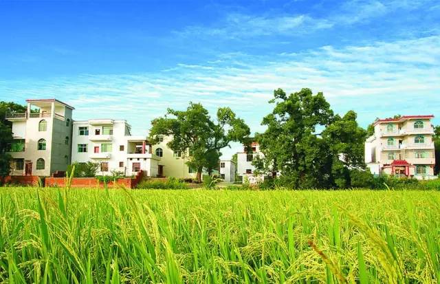 中国最富裕的农村社会是如何被炫富瓦解的