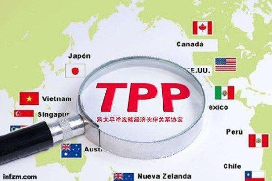 FTA目前有哪些合作伙伴?