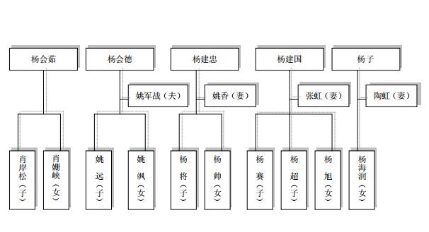 巨力集团人物关系图图片