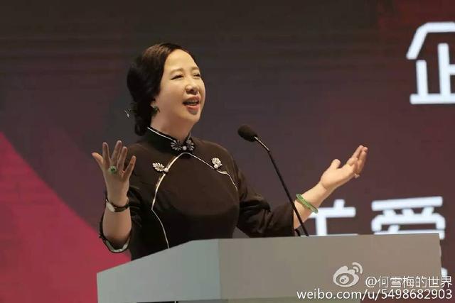 除了代表中兴基金会做公益活动,去年12月,何雪梅和丈夫——艾诺斯亚洲