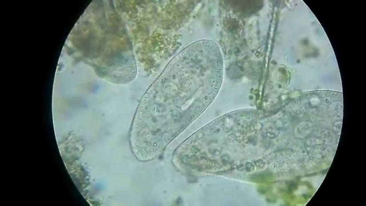 生命 3.0：不要温柔地走进人类的良夜__财经头条