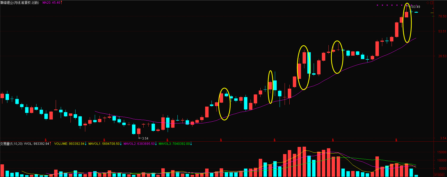 这只特斯拉金股,股灾后翻了10倍!