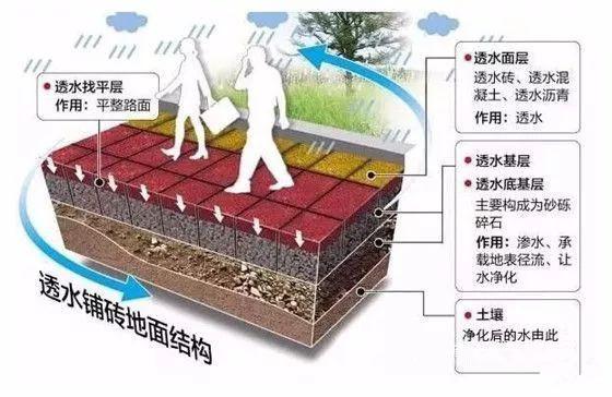 海绵城市 把大自然带到城市中与我们相见