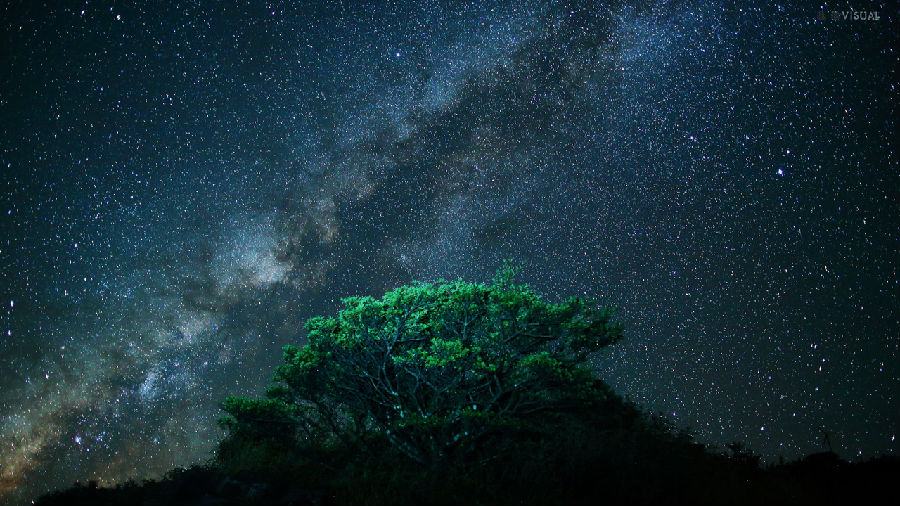 互聯網的璀璨星河中,這家明星企業被我們忽視了