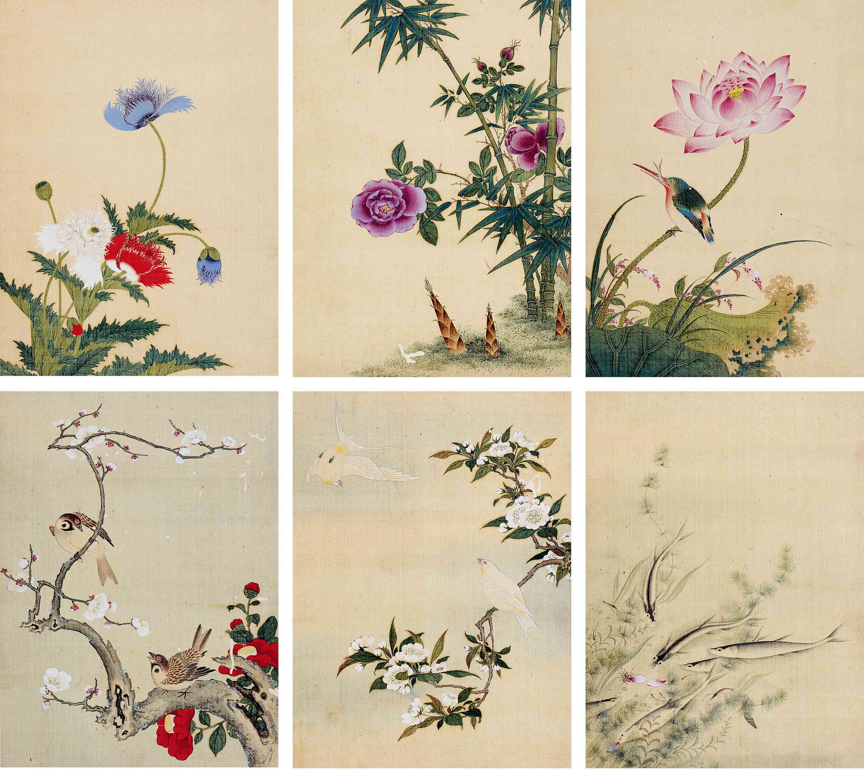 四时花卉册_四时花卉册图片,鉴赏,作品_新浪美术馆_新浪网
