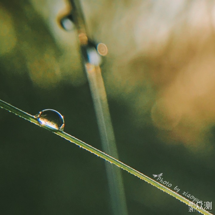 095a7c437a32ff974e0e9473ccf1a9b5.jpeg