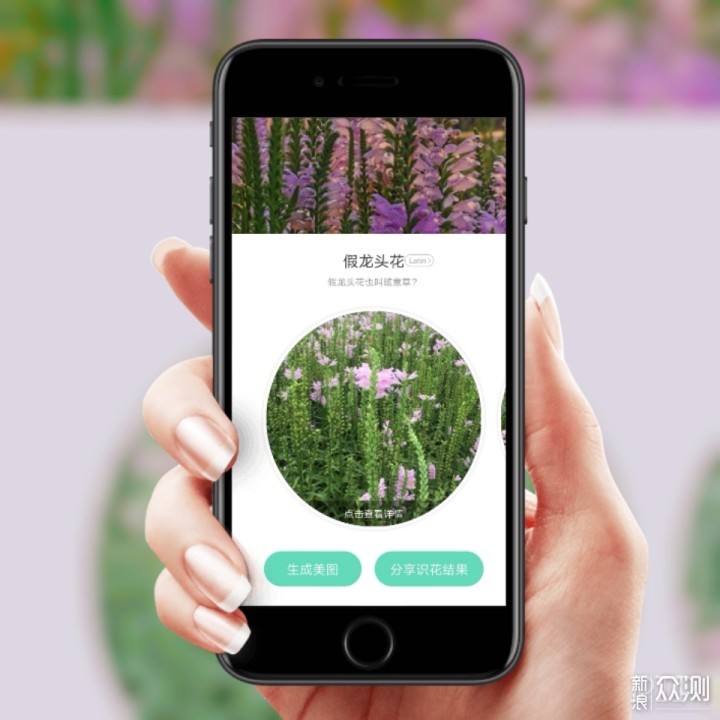 这款专门识别花草的手机app——形色,免费下载使用,可以从手机相册