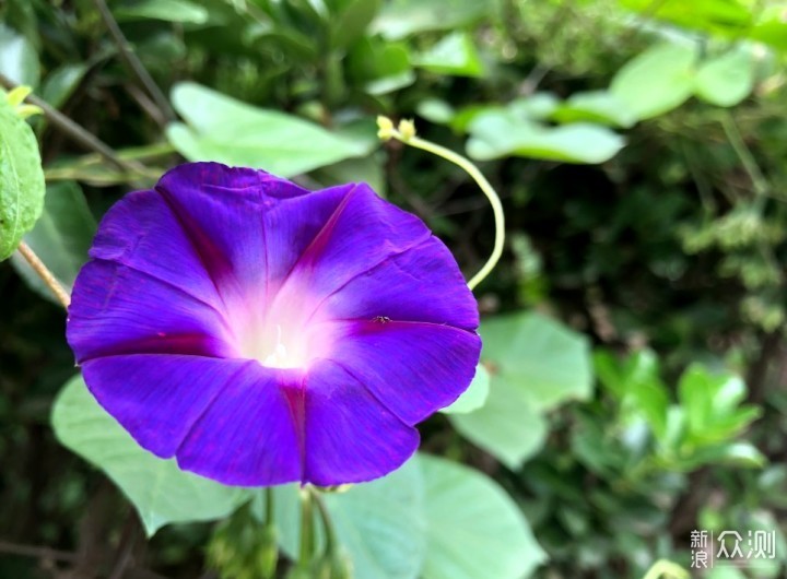 484cae0009c8cb75c21f09bc969cd11b.jpeg