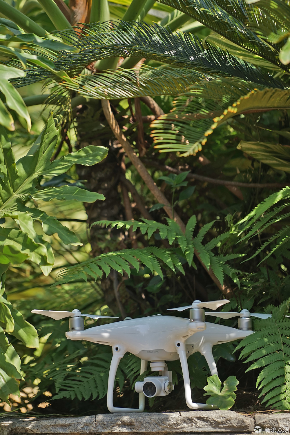 谦谦君子温润如玉大疆精灵4无人机试玩