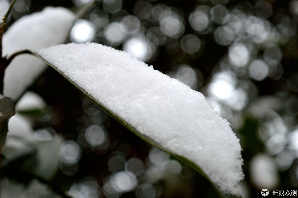 潔白的雪足以來表達我們純潔的愛